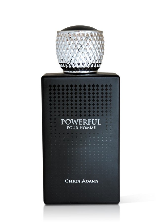 Chris Adams Powerful Eau De Parfum for Men 100ML Bold, Long-Lasting Fragrance for Confidence and Strength - Image 2